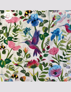 Colibri