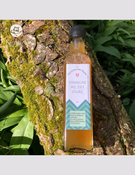 Vinaigre d’ail des ours Vinaigre d’ail des ours