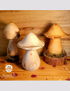 Champignon bois de Savoie