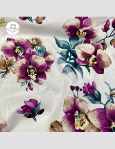Orchidée violette