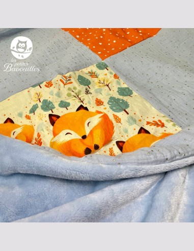 Couverture gros renard