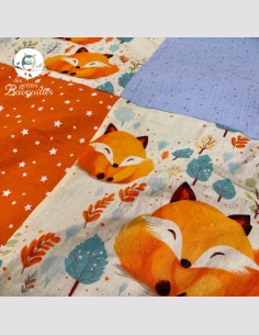 Couverture gros renard