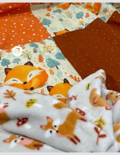 Couverture gros renard