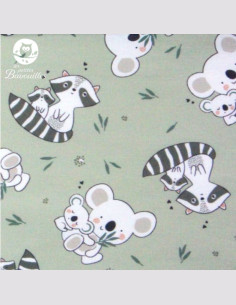 Tissu koala racoon